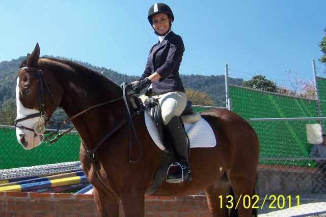  Ausbildung von Reitern 